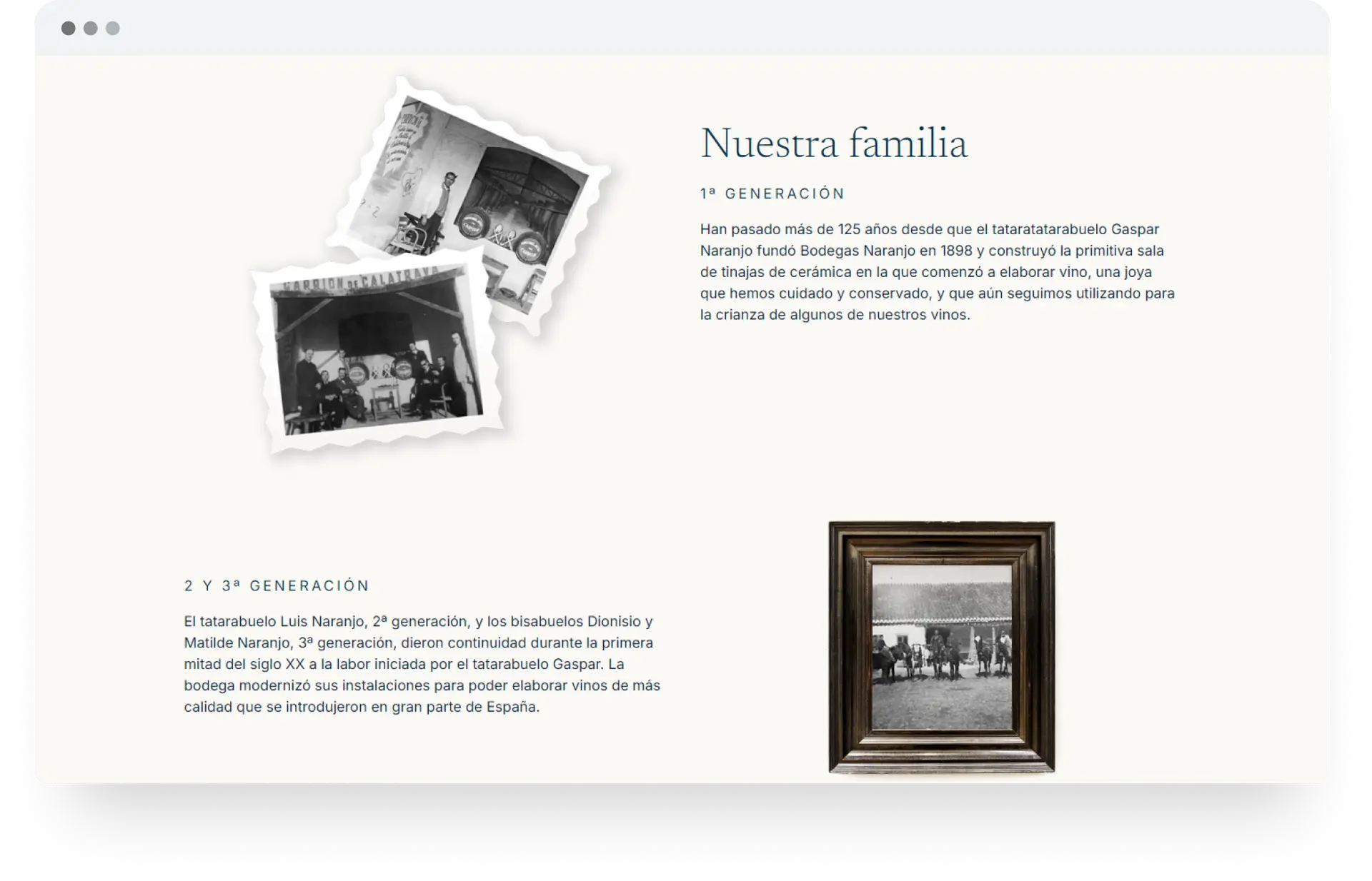 bodegas-naranjo-diseno-web-3