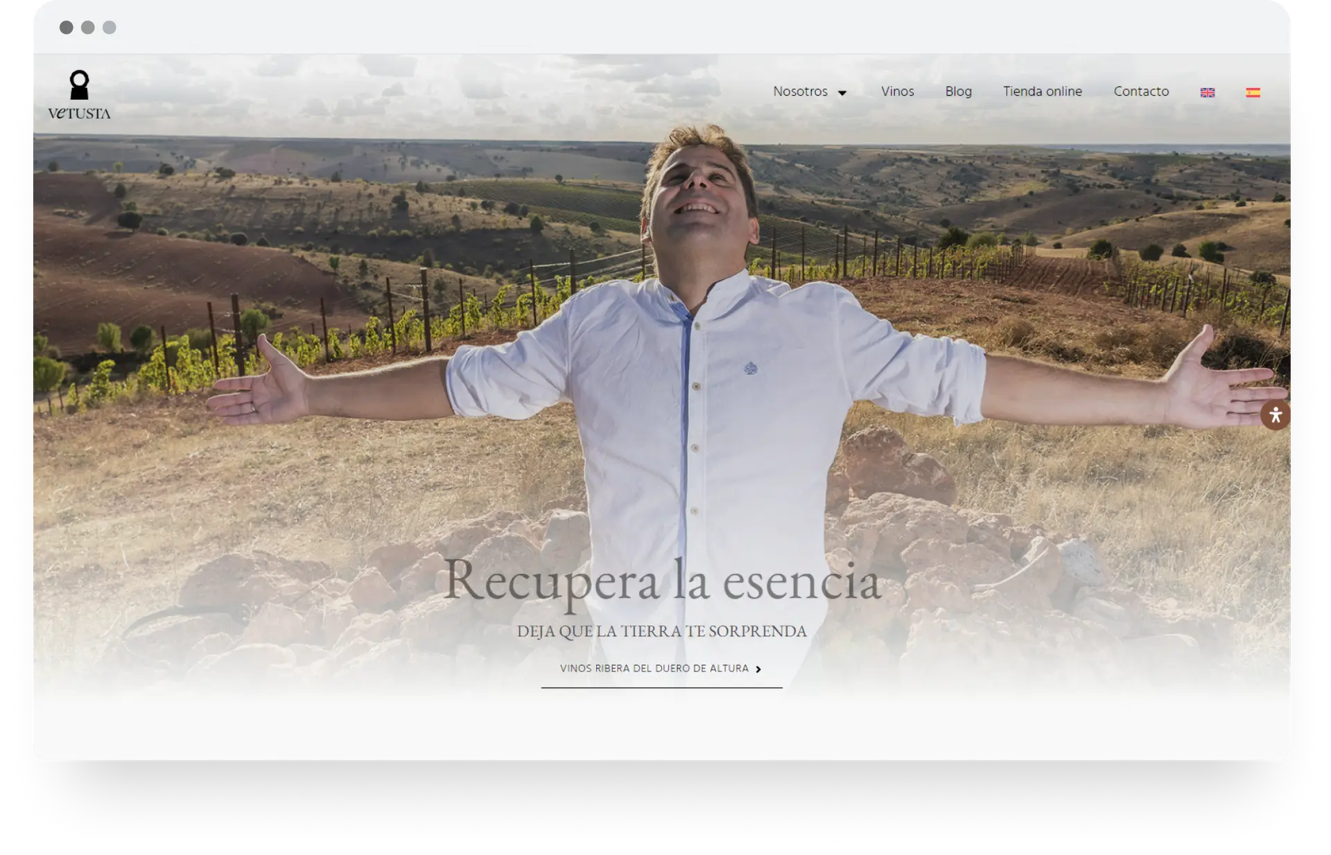 bodegas-vetusta-diseno-web-3