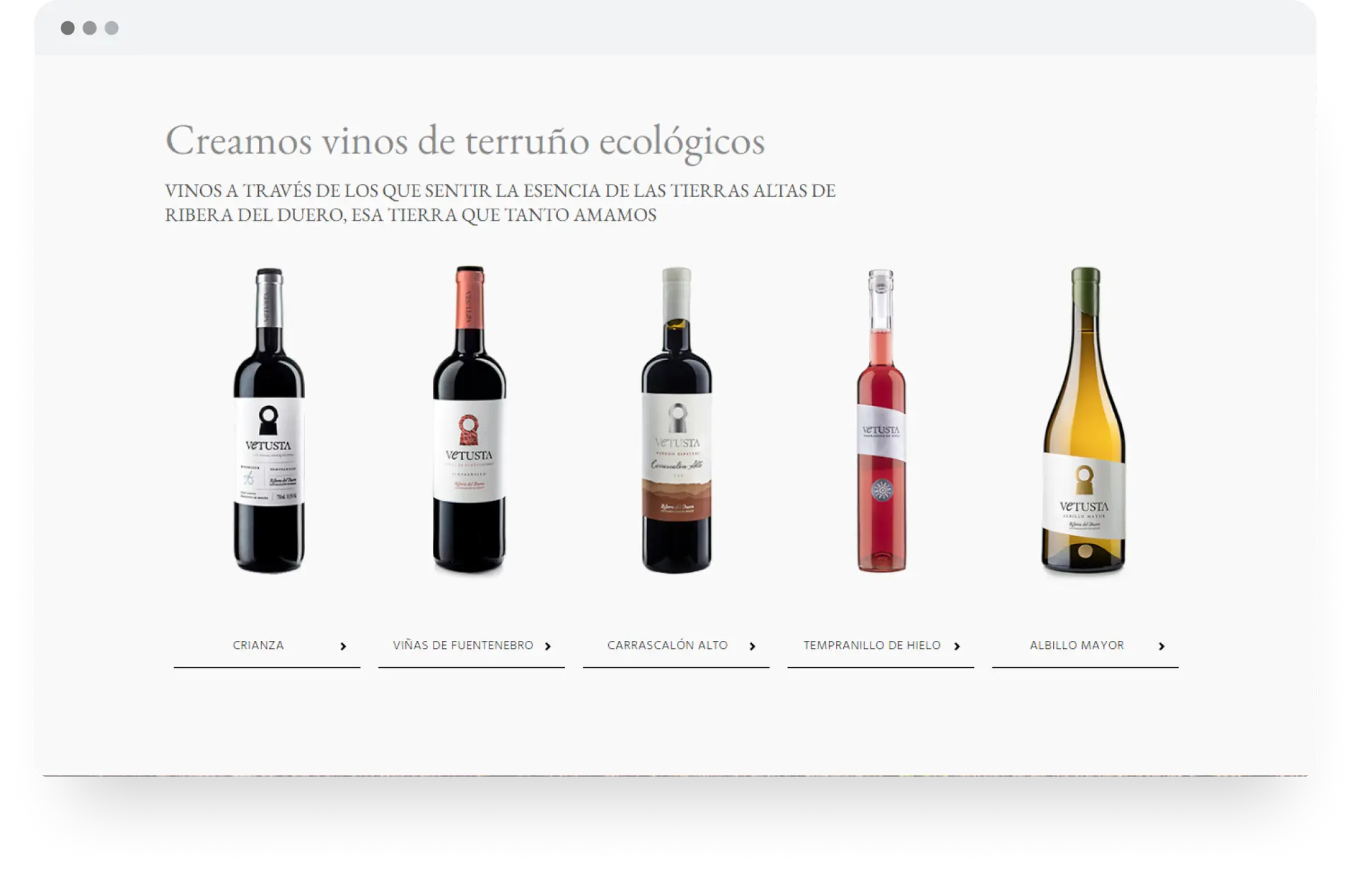bodegas-vetusta-diseno-web-4
