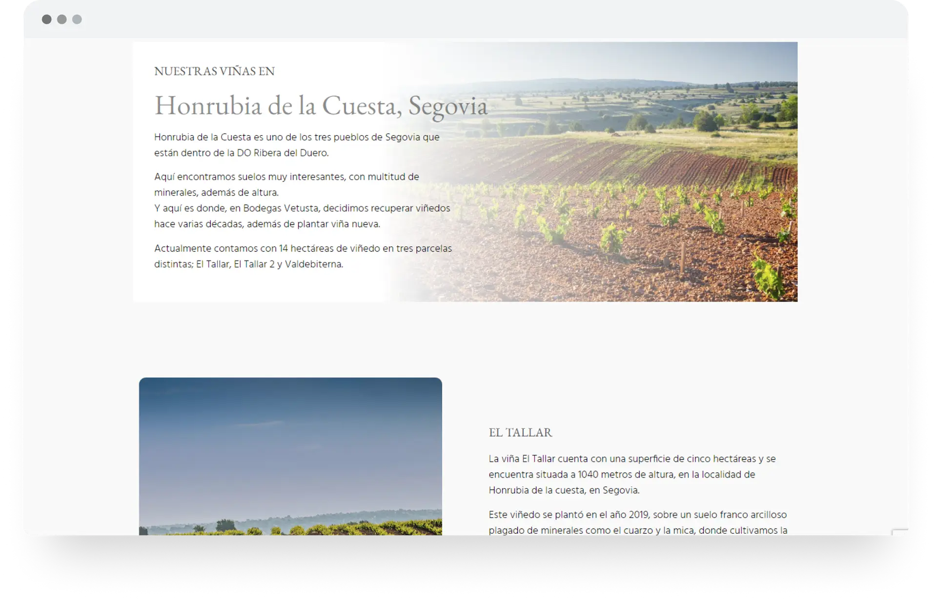 bodegas-vetusta-diseno-web