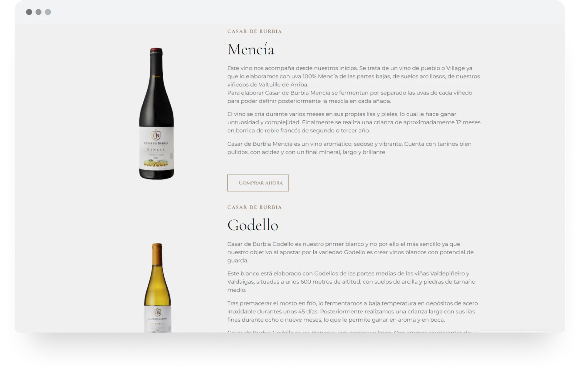 casar-de-burbia-diseno-web-bodega-vino-2