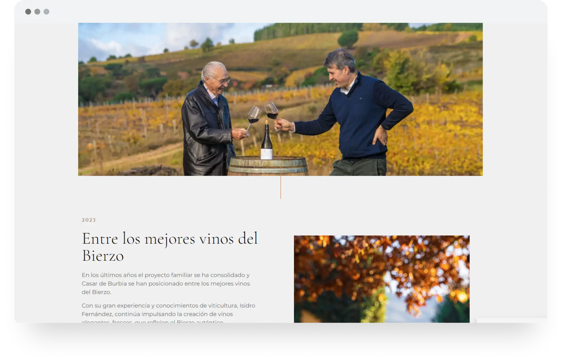 casar-de-burbia-diseno-web-bodega-vino-3