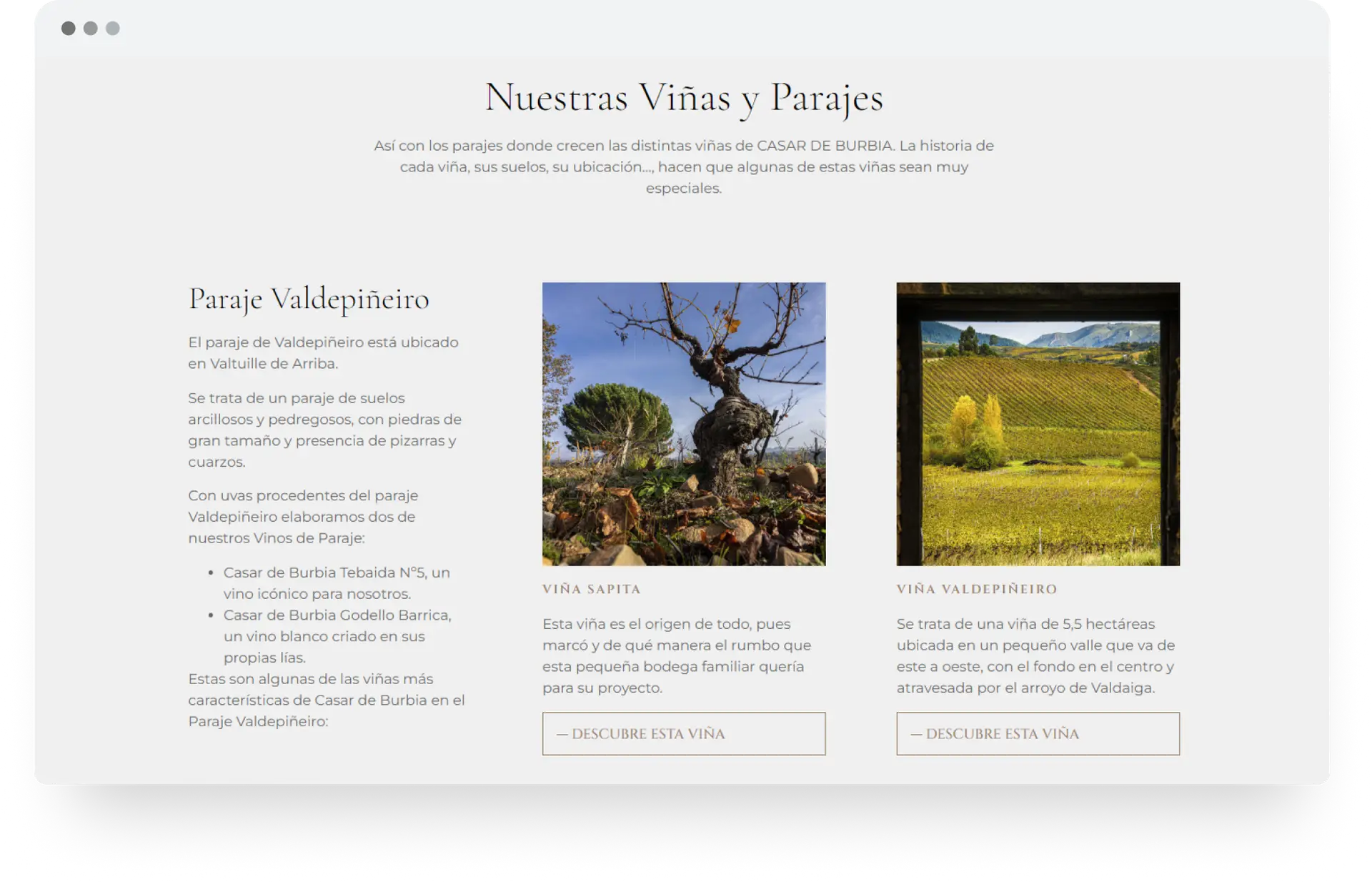 casar-de-burbia-diseno-web-bodega-vino-5