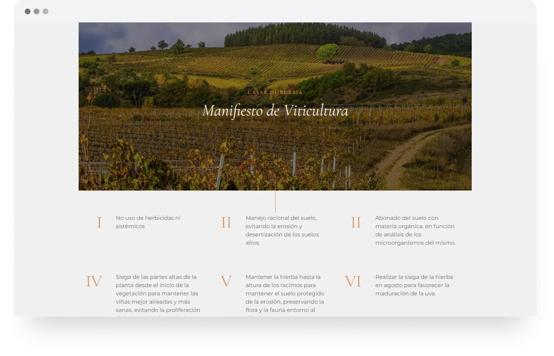 casar-de-burbia-diseno-web-bodega-vino-6